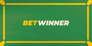 Understanding Sports Betting A Comprehensive Guide to Success in the Game